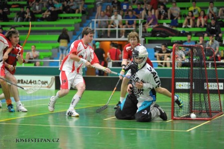 Slovenský pohár 2012 